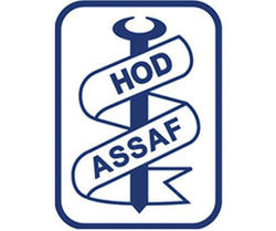 Hod Assaf Metals