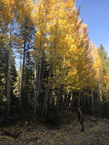 The Equinox Reset: A Seasonal Invitation to Rebalance Your Nervous System