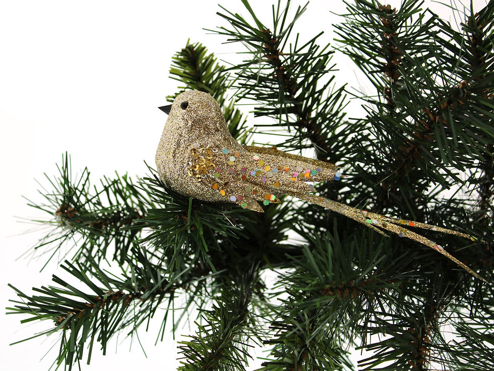 תמונה ממוזערת: ציפור שמפניה קליפס 17 ס״מ