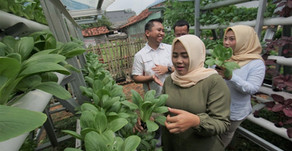 Hankook Tire Indonesia Menggagas Kebun Hidroponik sebagai Pemberdayaan Ekonomi di Kawasan Industri