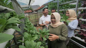 Hankook Tire Indonesia Menggagas Kebun Hidroponik sebagai Pemberdayaan Ekonomi di Kawasan Industri