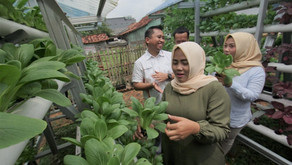 Hankook Tire Indonesia Menggagas Kebun Hidroponik sebagai Pemberdayaan Ekonomi di Kawasan Industri