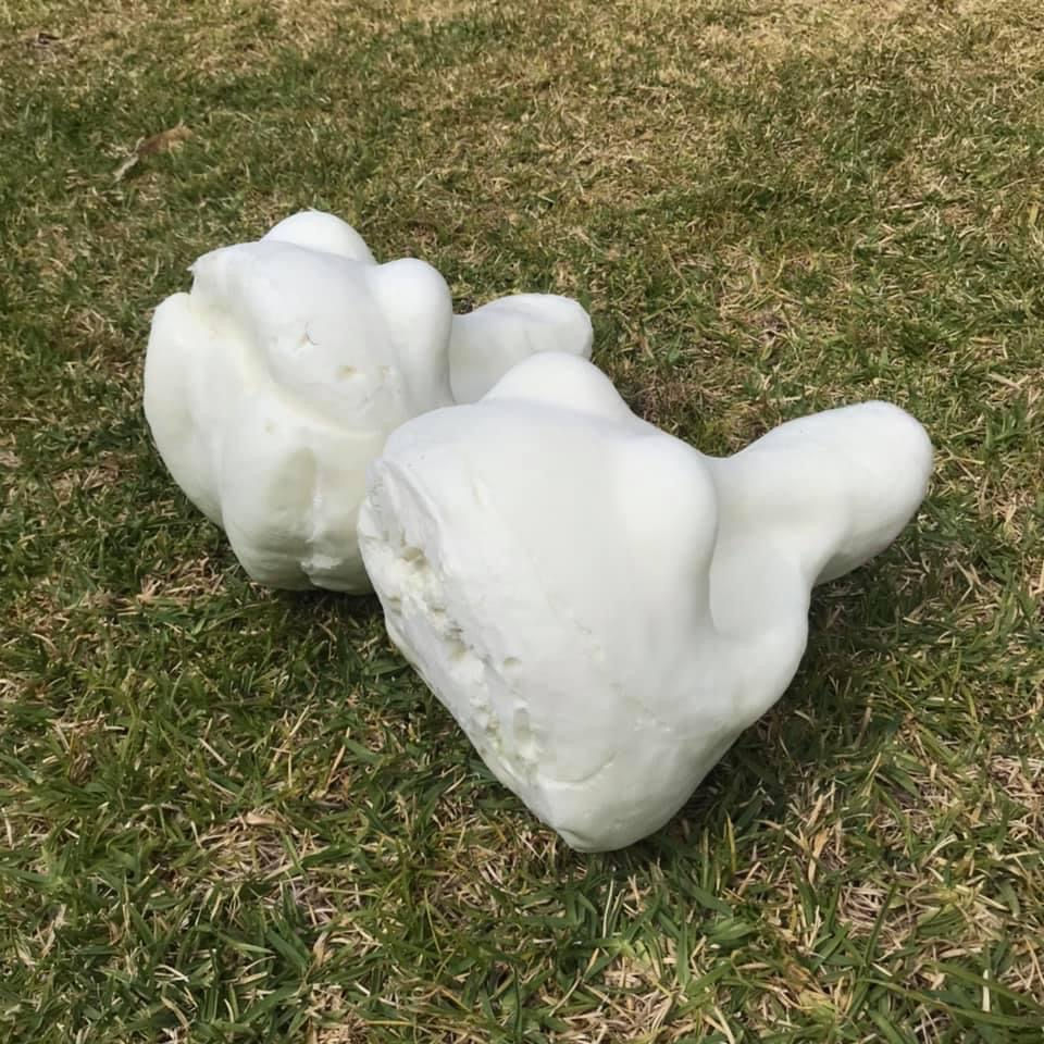 Thumbnail: Foam Canine Head Base