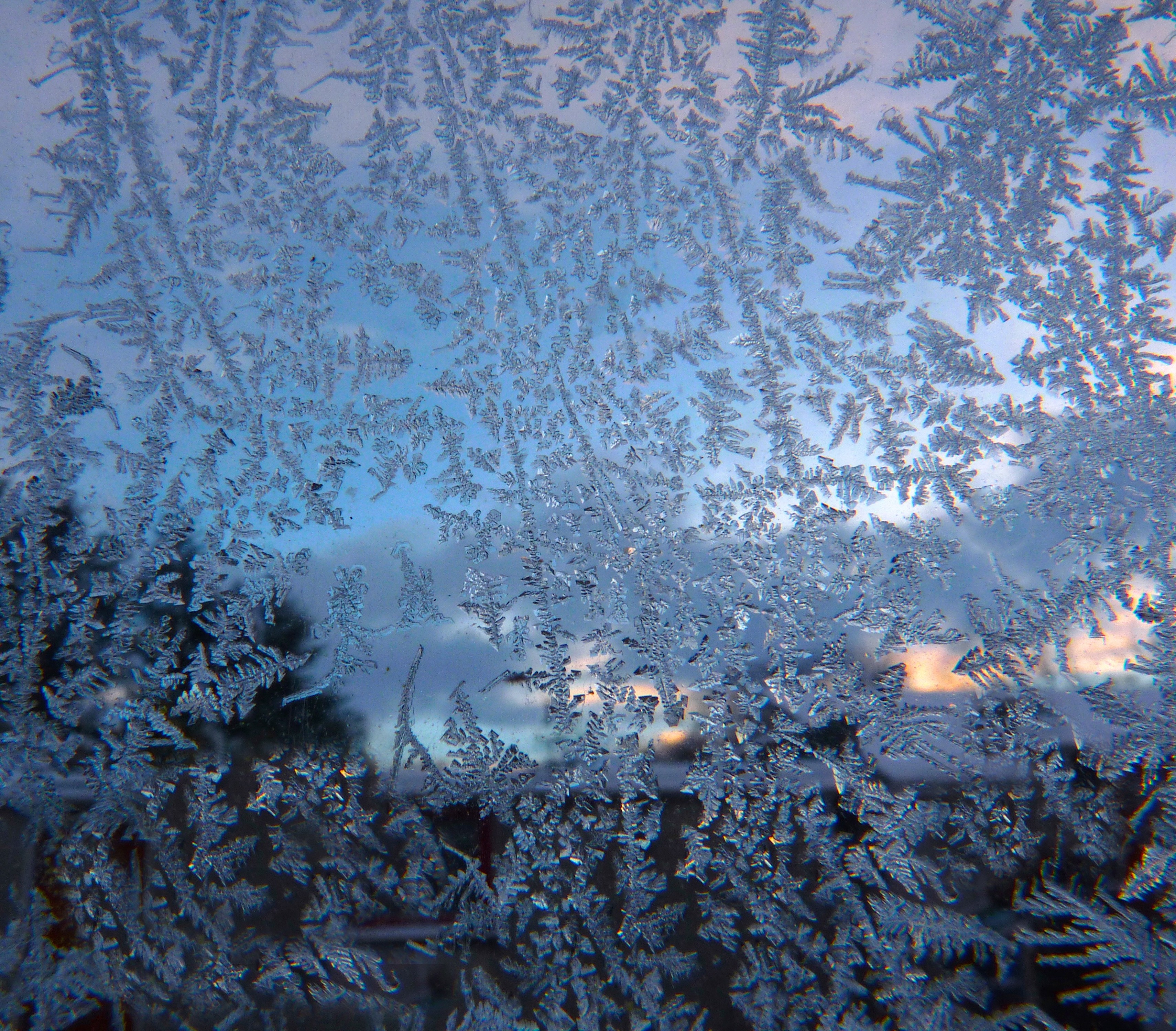 Greenhouse Patterns