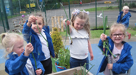 Harvest time at Loch Nursery