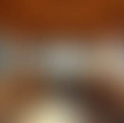 Converting a Family Bus for Living