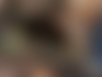 Homesteading 101: A Beginner's Guide to Self-Sufficiency