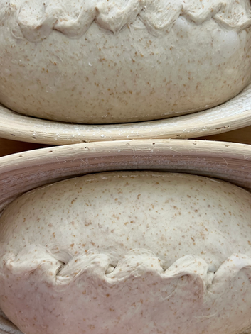 Dough in Bannetons