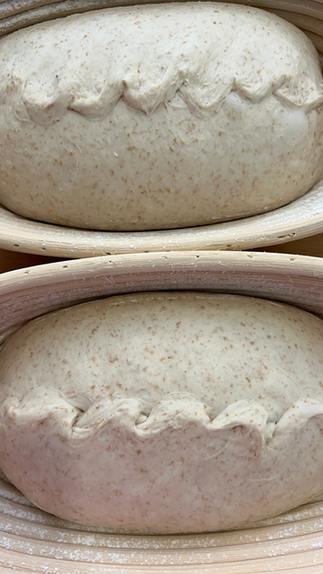 Dough in Bannetons