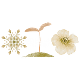 SEASON ICON _all.png