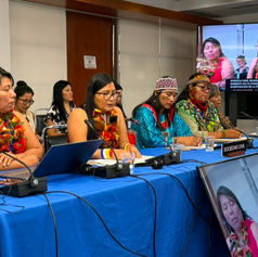 CORPI SL integra delegación de lideresas indígenas que denuncia ante la CIDH las amenazas que enfrentan en los territorios amazónicos