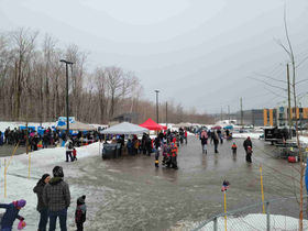 Chasse aux cocos vue d'ensemble.jpg