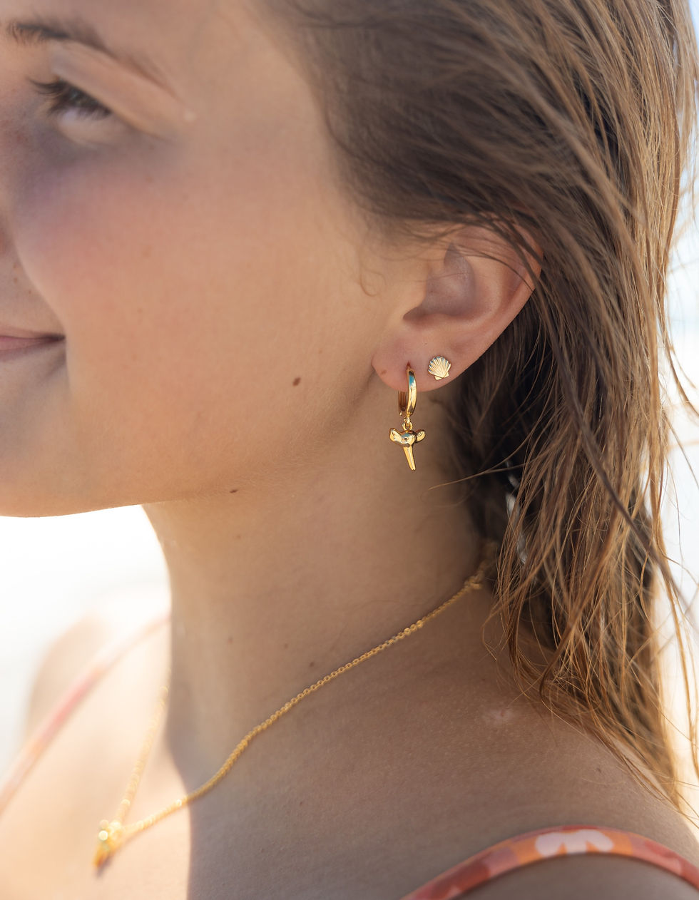 Thumbnail: Gold Shark Tooth Set