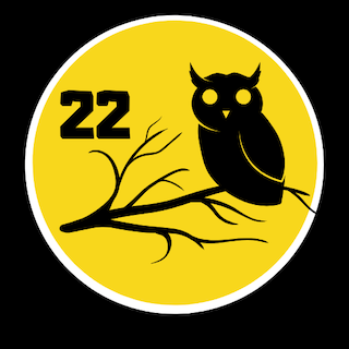 Building Momentum: The Next Chapter for 22Owl