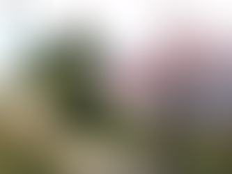 野菜料理だけのワイン会は驚きの連続？