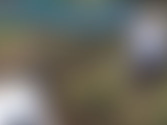 今年最後のはぐくみスクール１９日募集