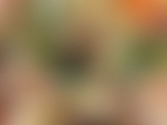 キムチ作り教室初日まだまだ参加募集中です。