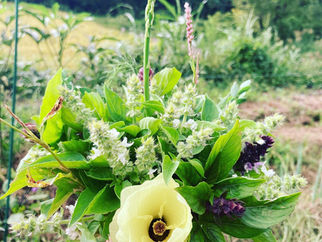 自然の中で学び＊見つけて＊食べる講座FOREST COOKING COURSE　5期生募集