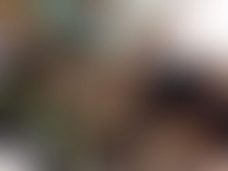 岐阜"teizen こう㐂"と金沢キッチンのお一人様会が金沢で開催！