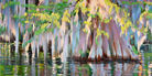 impressionist oil painting, swamp, landscape