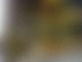 導入後の倉庫の様子