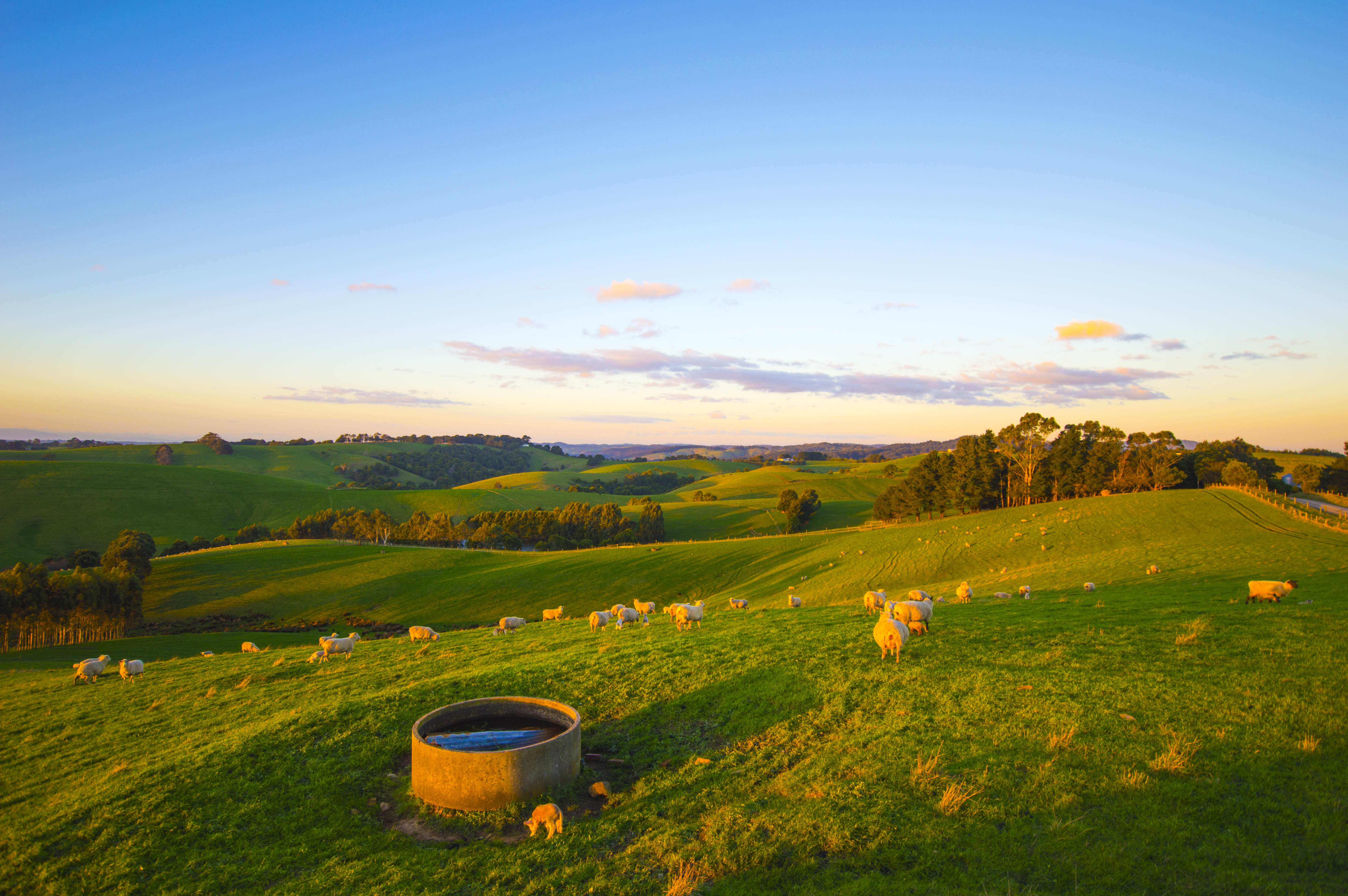 Rolling Hills