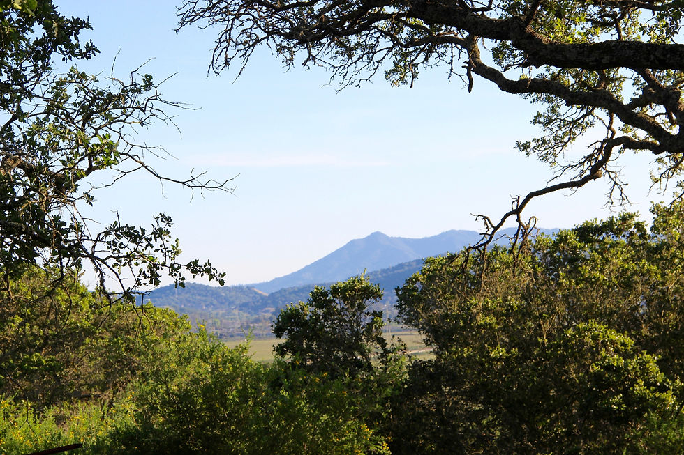 50 Lockton Lane, Novato