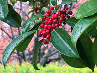 Wrapping Chapter 59....