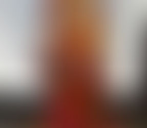 色打掛アレンジ☆