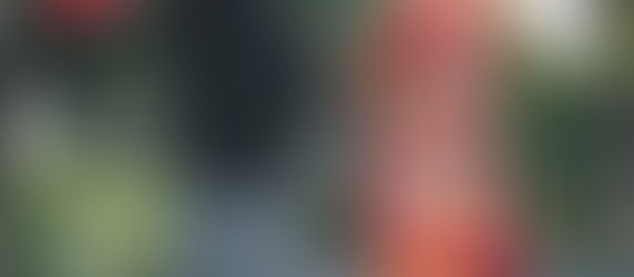 今月のオススメプラン