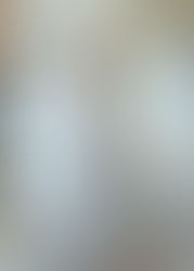 ✧NEWウェディングドレスのご紹介✧