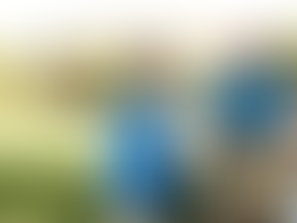 Dementia Care at Home: Supporting Loved Ones with Compassion in Vancouver