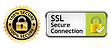 APS-SSL-Secure-Connection.png