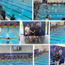 British Masters LC Results