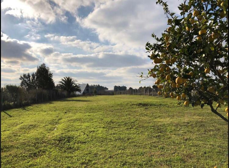 Miniatura: Cno Uruguay - La Paz