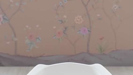 Dog Bowl (coral Pink)