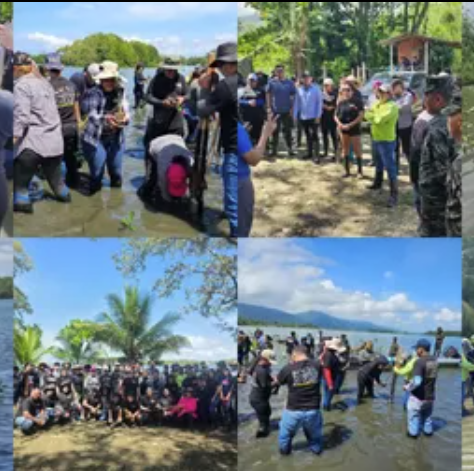 ¡Rescatemos la laguna de PAMUCH con mangle rojo!