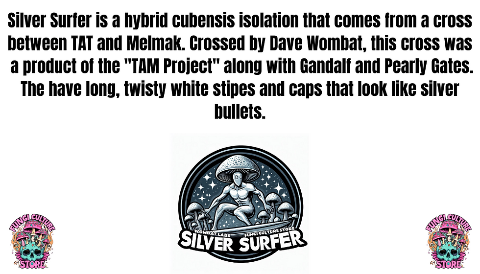 Thumbnail: Silver Surfer Sticker Pack
