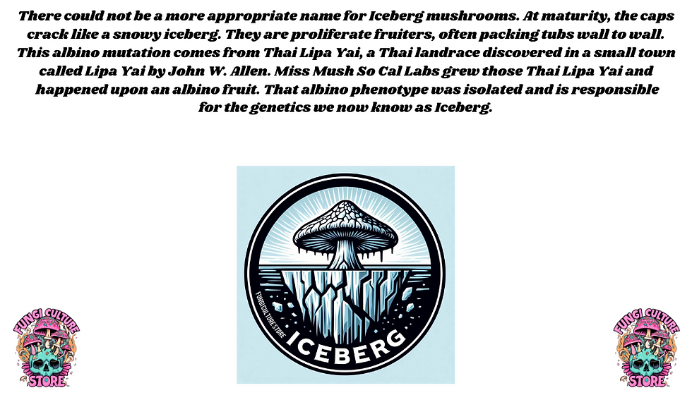 Thumbnail: Iceberg Sticker Pack
