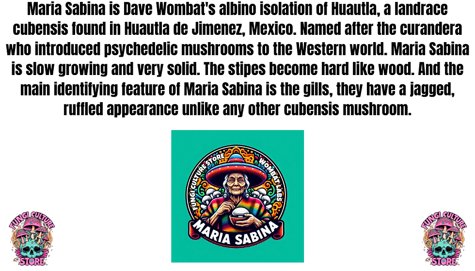 Thumbnail: Maria Sabina Sticker Pack
