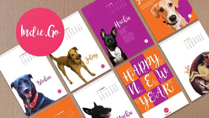 Social media feed design for Indie.Go by Tea & Oranges Design agency, Bangalore