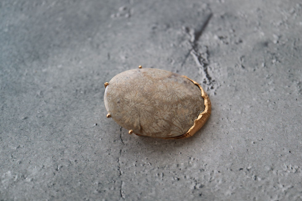 サムネイル： Coral Fossil Broach -B- (23BR-16)