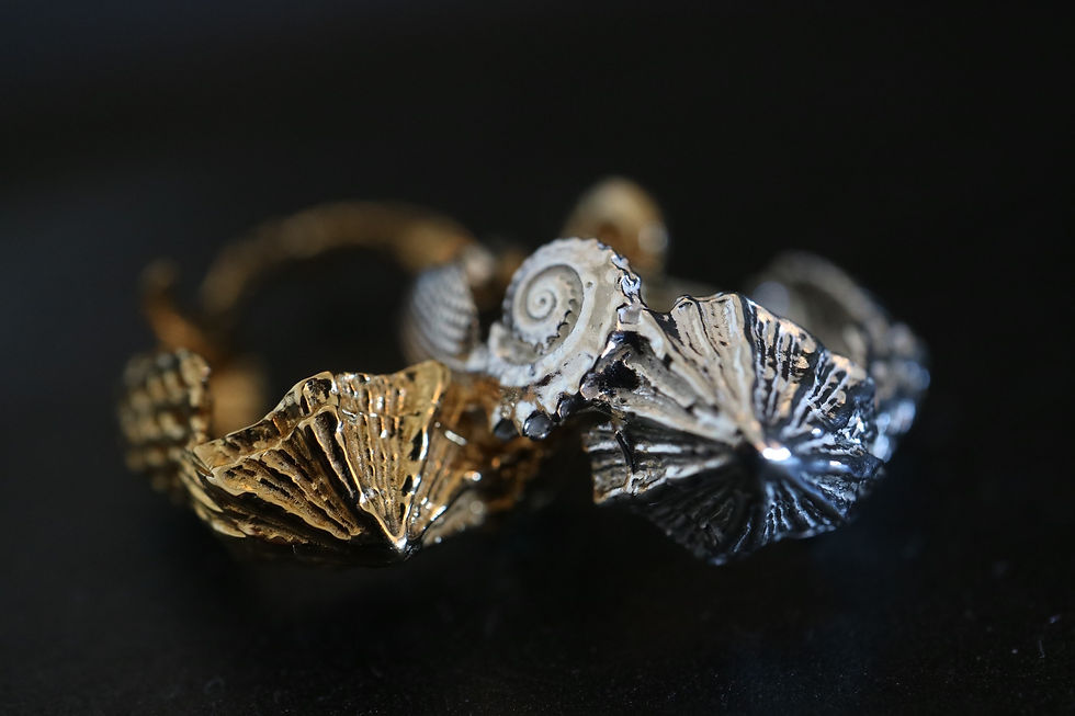 サムネイル： Shell Cuff ring -Silver color-  (24R-12 )