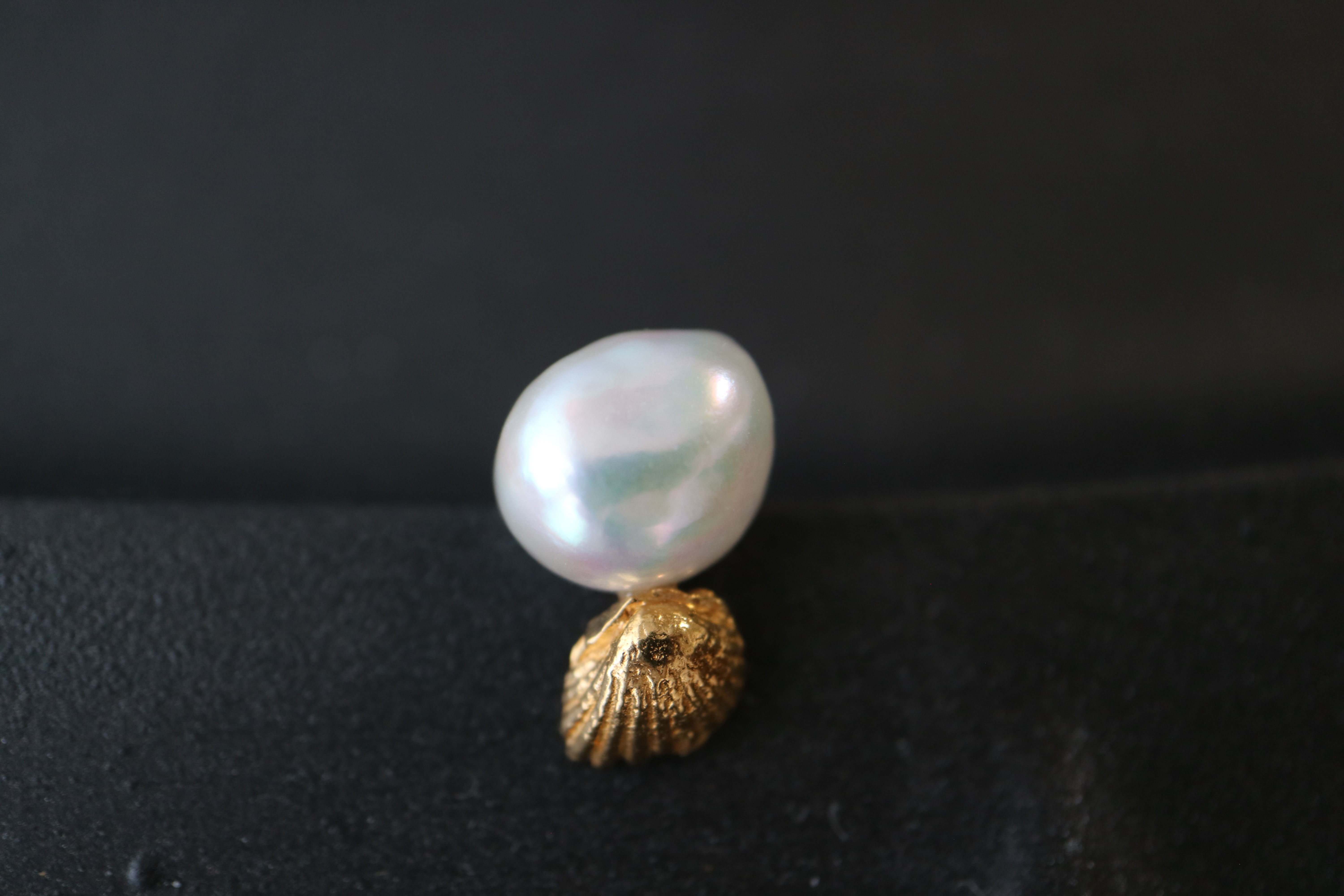 Shellfish and Pearl  K10Pierced Earring -B- (23P10-11)