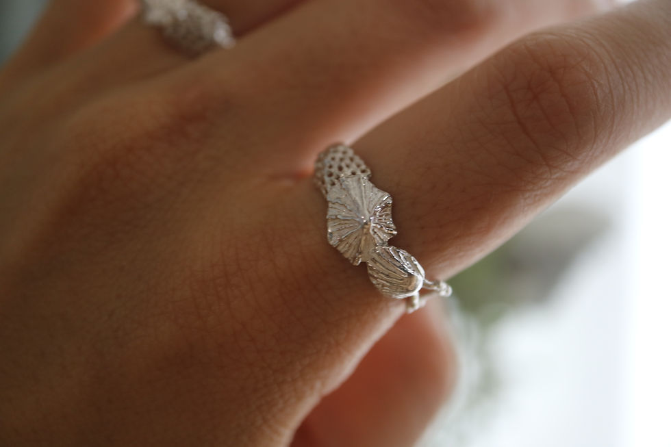 サムネイル： Shell Cuff ring -Silver color-  (24R-12 )