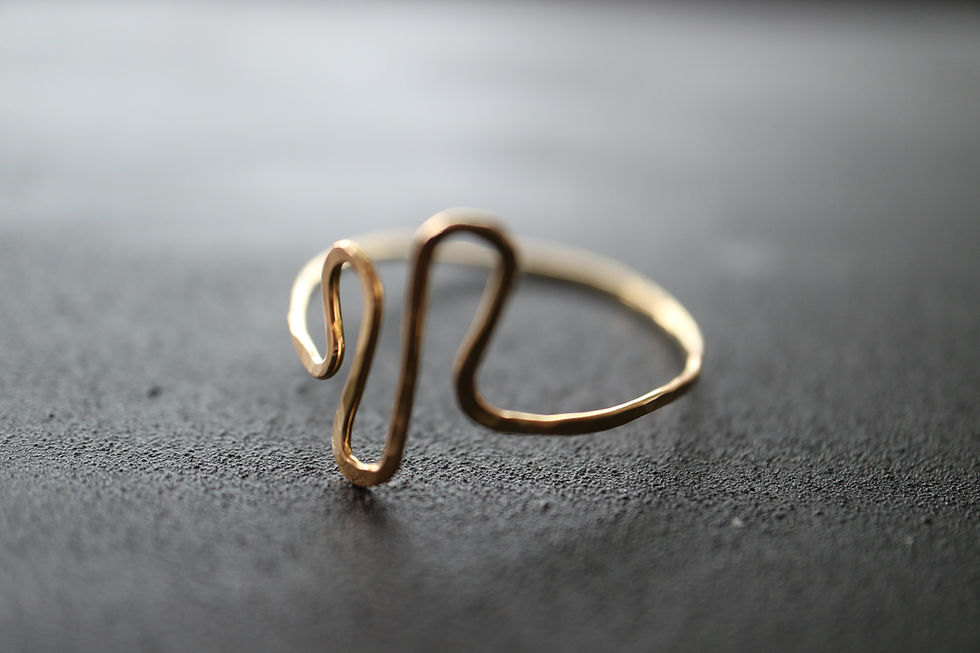Kunekune Ring S (22R-01 S) | boron