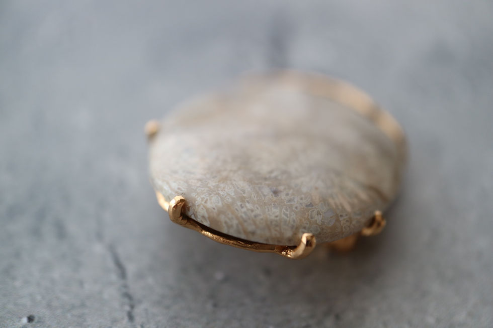 Thumbnail: Coral Fossil Broach -B- (23BR-16)