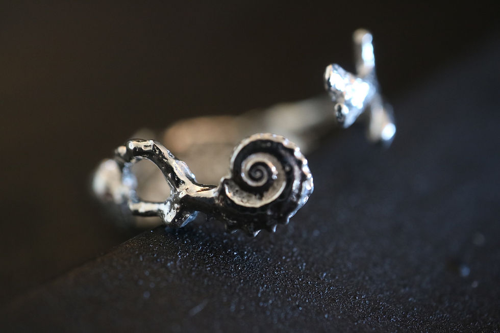 サムネイル： Shell Cuff ring -Silver color-  (24R-12 )