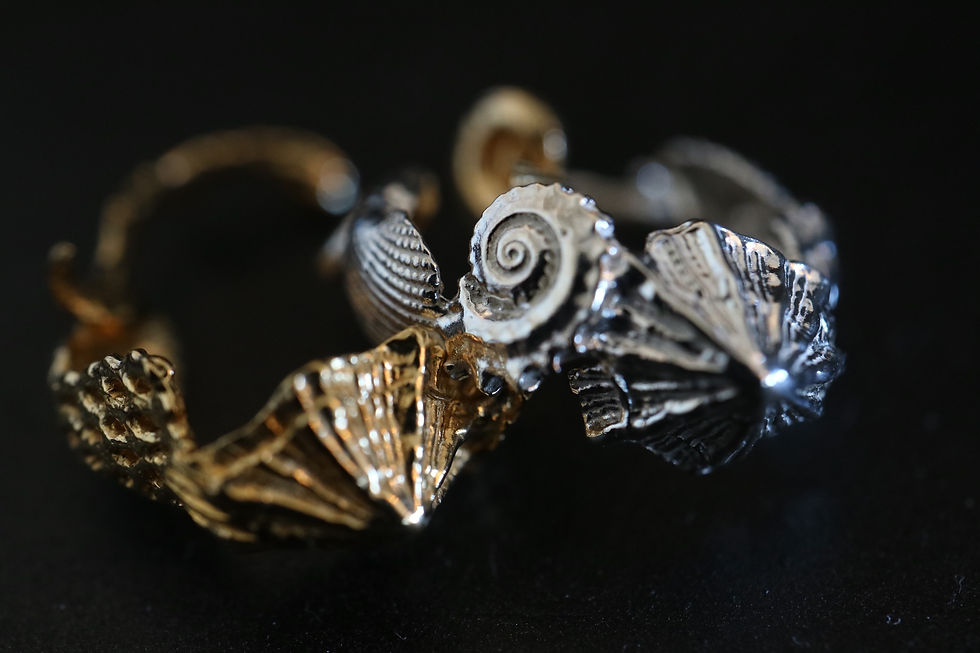 サムネイル： Shell Cuff ring -Silver color-  (24R-12 )