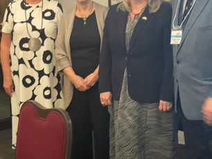 Ambassador Korteniemi addresses the CNS